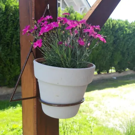 Benedek Apartman Siófok